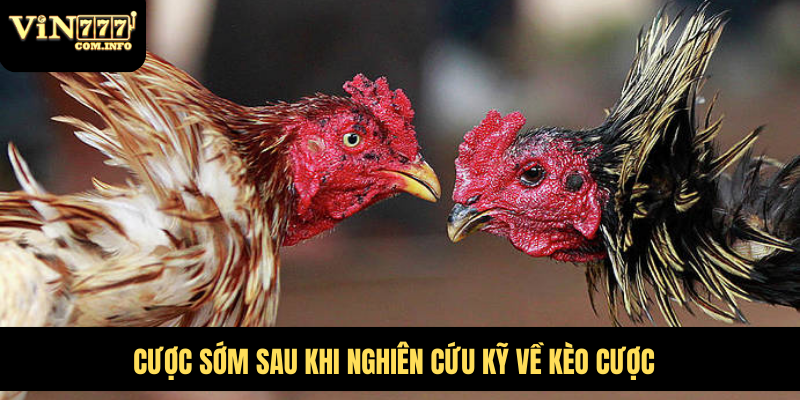 Cược sớm sau khi nghiên cứu kỹ về kèo cược